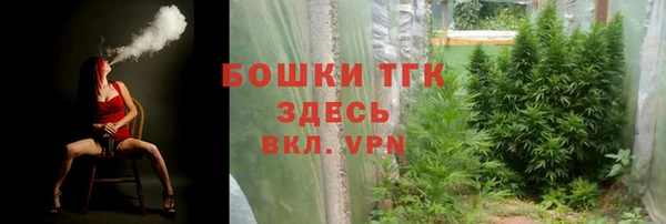 ГАЛЛЮЦИНОГЕННЫЕ ГРИБЫ Краснослободск