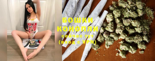 ГАЛЛЮЦИНОГЕННЫЕ ГРИБЫ Краснослободск
