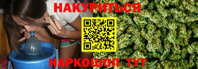 apvp Моздок