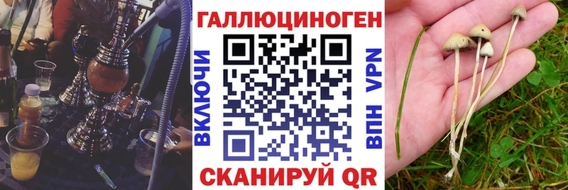 мега онион  Киржач  Галлюциногенные грибы Psilocybine cubensis 